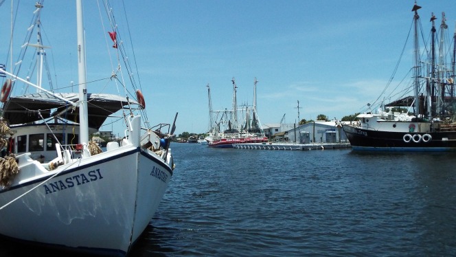 Boats at the Sponge Docks Tarpon Springs