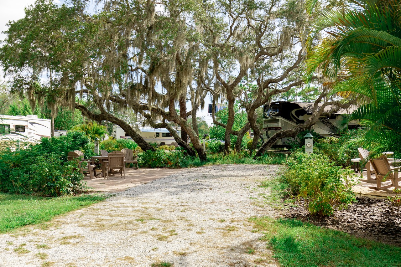 Monthly RV site rental in Tarpon Springs Florida.